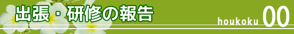 ���C�E�w��̕�00