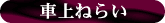 �ԏ�˂炢